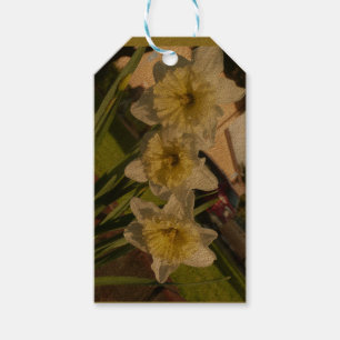 Sunny daffodils trio gift tags