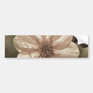Sunny Dahlia Bumper Sticker