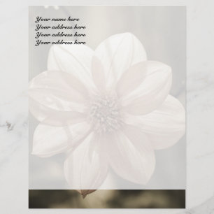 Sunny Dahlia Customised Letterhead