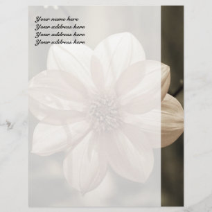Sunny Dahlia Letterhead