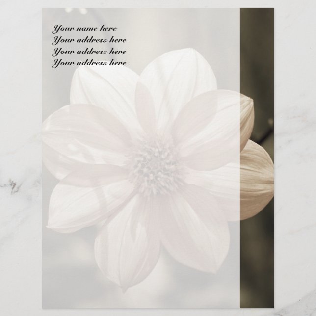 Sunny Dahlia Letterhead (Front)