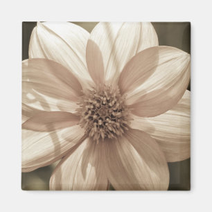 Sunny Dahlia Magnet