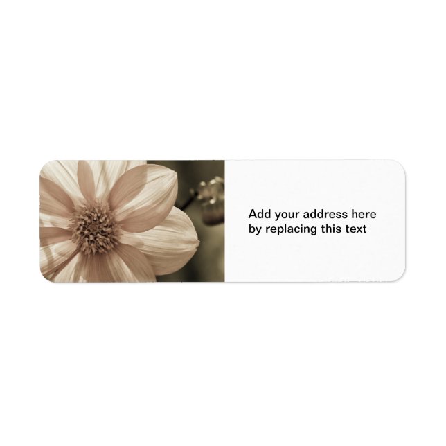 Sunny Dahlia Return Address Label (Front)