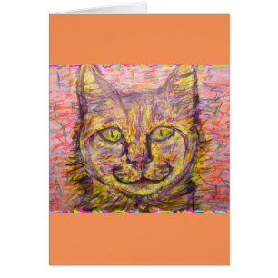 sunny day cat