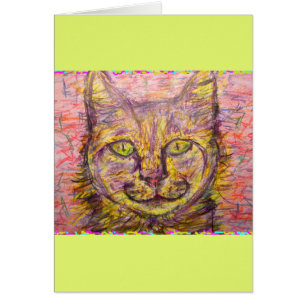 sunny day cat hey