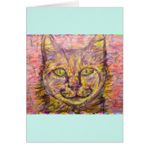 sunny day cat hey dude