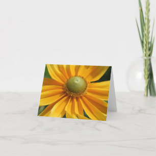 Sunny Day Floral Photography Note Card