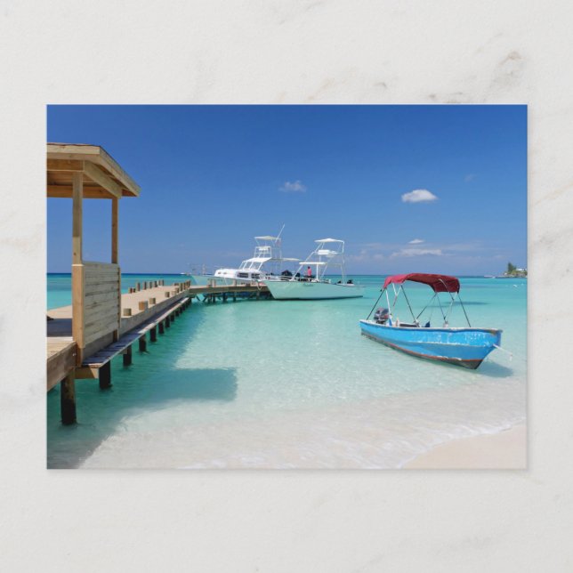 Sunny Day.JPG Postcard (Front)