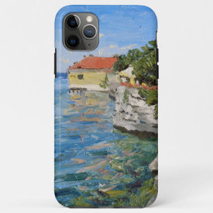 Sunny Day on Lake Constance (Southern Germany) iPhone 11 Pro Max Case