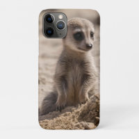 "Sunny Days: Baby Meerkat's Beach Adventure"