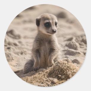 "Sunny Days: Baby Meerkat's Beach Adventure" Classic Round Sticker