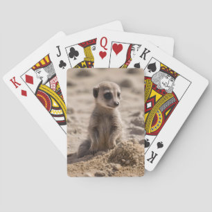 "Sunny Days: Baby Meerkat's Beach Adventure" Playing Cards
