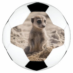 "Sunny Days: Baby Meerkat's Beach Adventure" Soccer Ball