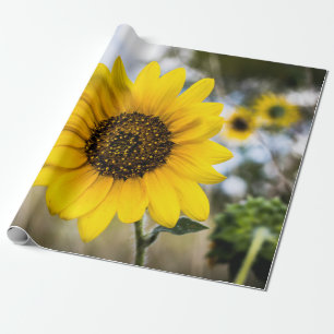 Sunny Daze Wrapping Paper