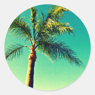 Sunny Florida Palm Tree Sky Picture Classic Round Sticker