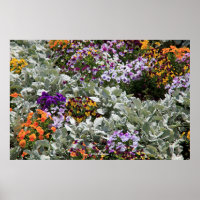 Sunny Flower Garden