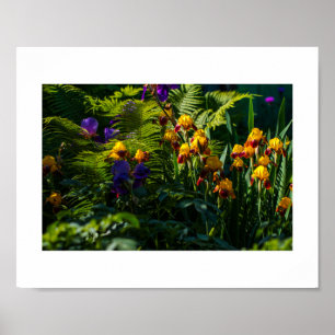 Sunny Garden Flowers Iris Nature Poster