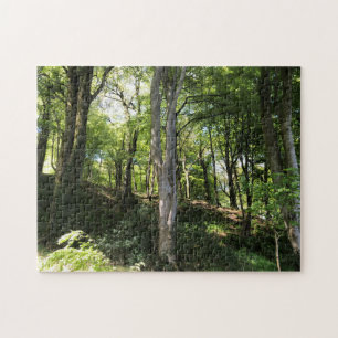 Sunny Glade. Sunbeams in woodland scenery.  Jigsaw Puzzle