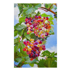 Sunny Grapevine – Colourful Grapes Still Life Pain Photo Print