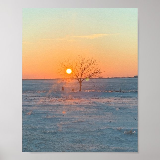 Sunny Graves Poster (Front)