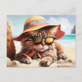 Sunny Kitty  Postcard