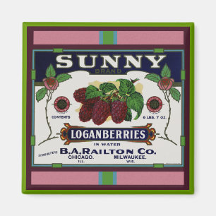 Sunny Loganberry Fruit Magnet