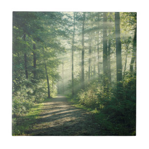 Sunny October Morning in Hamburg Ceramic Tile