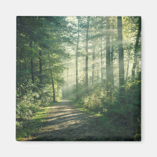 Sunny October Morning in Hamburg Magnet