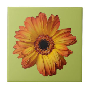 Sunny Orange gerbera flower bloom Ceramic Tile