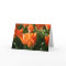 Sunny Orange Tulips Mother's Day Greeting Card
