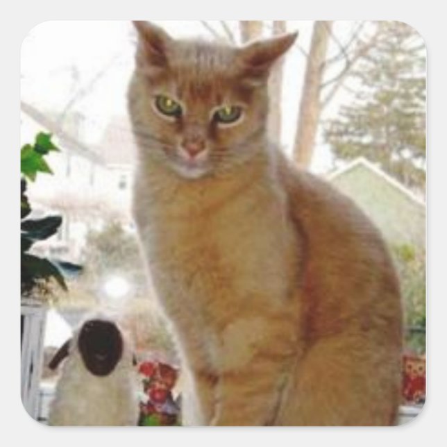 Sunny Papoochie Stickers (Front)