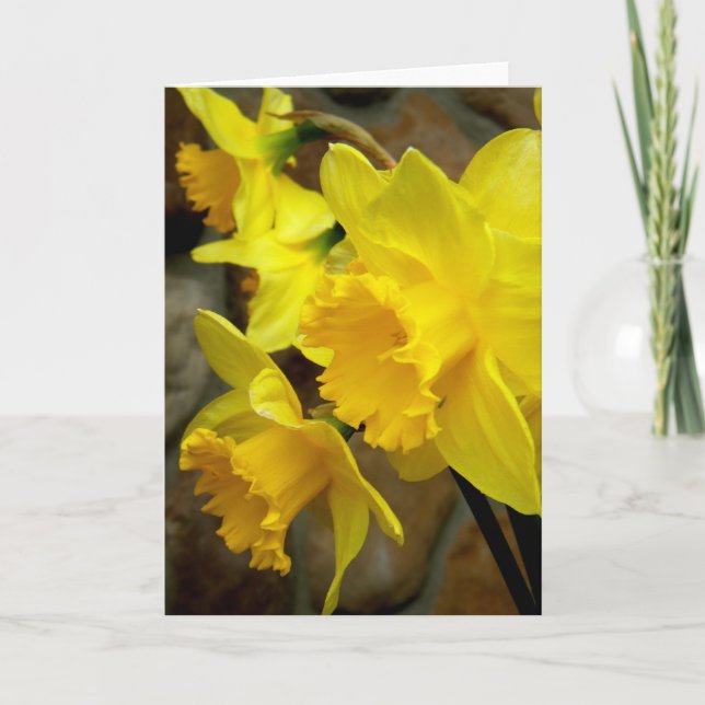 Sunny Petals Card (Front)