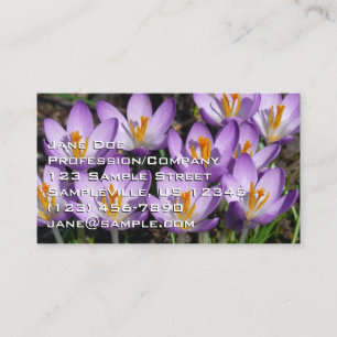 Sunny Purple Crocuses Business Card
