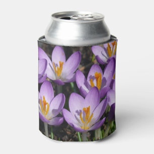 Sunny Purple Crocuses Can Cooler