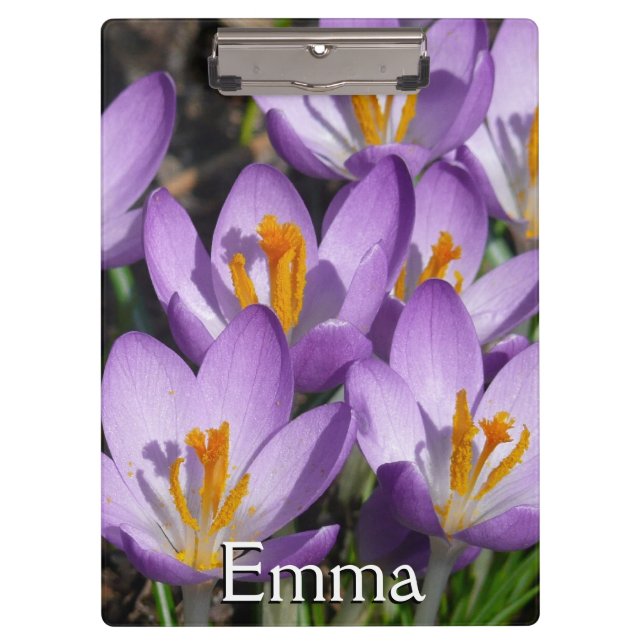 Sunny Purple Crocuses Clipboard (Front)