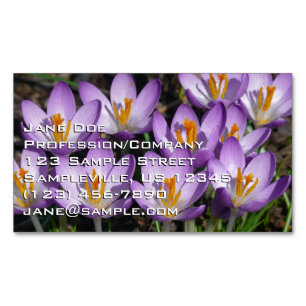 Sunny Purple Crocuses Magnetic Business Card