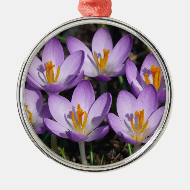Sunny Purple Crocuses Metal Ornament (Front)