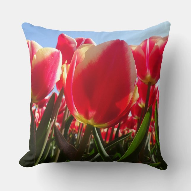 Sunny Red Tulips Close Up Throw Pillow (Front)