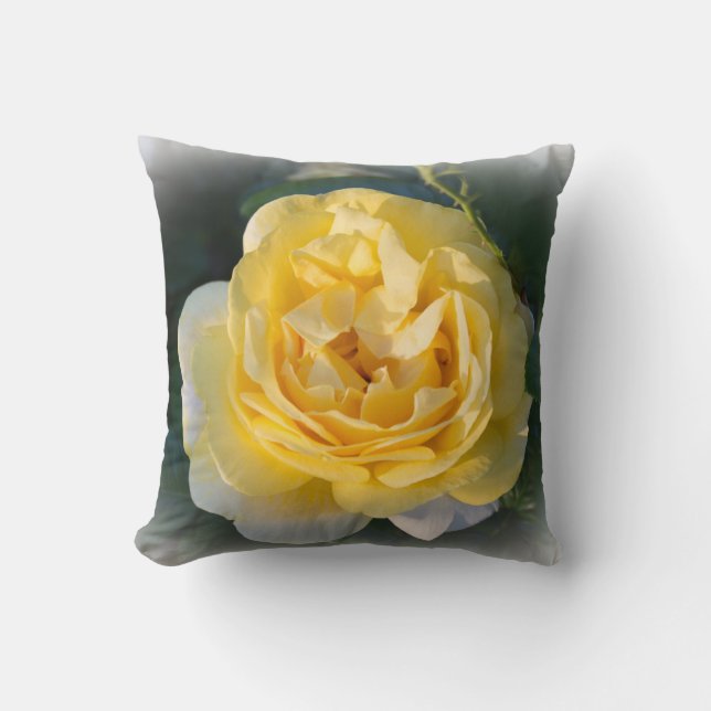 Sunny Rose  Cushion (Front)