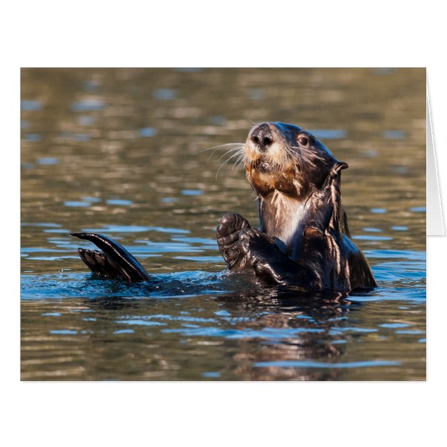 Sunny Sea Otter (Front Horizontal)
