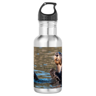 Sunny Sea Otter 532 Ml Water Bottle
