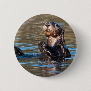 Sunny Sea Otter 6 Cm Round Badge
