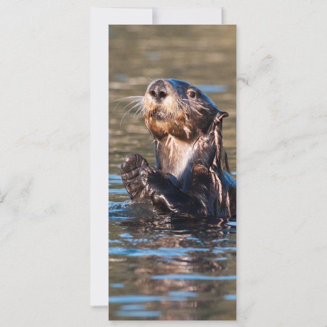 Sunny Sea Otter Card (Front)