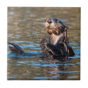 Sunny Sea Otter Ceramic Tile