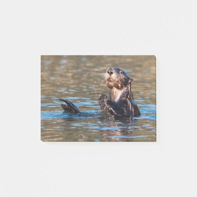 Sunny Sea Otter Post-it Notes (Front)