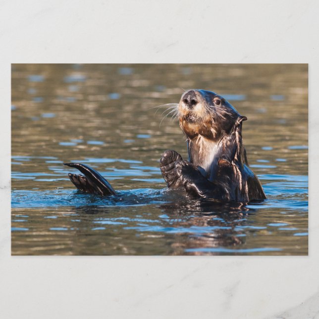 Sunny Sea Otter Stationery (Front)