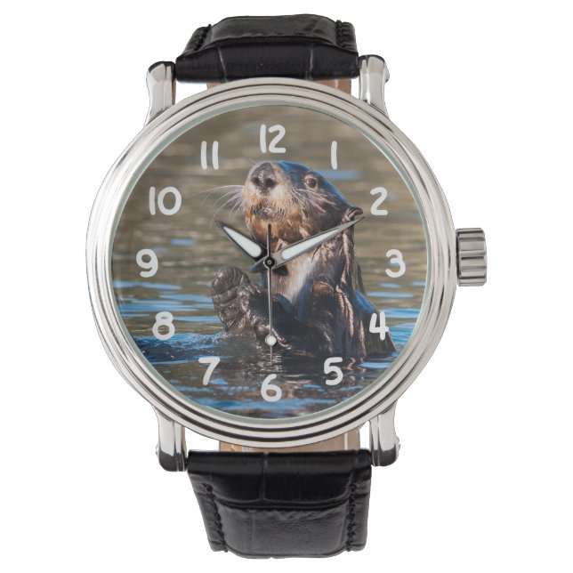 Sunny Sea Otter Watch (Front)