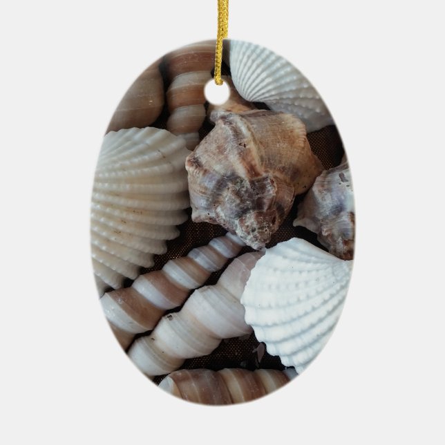 Sunny Seashells Collection Nature Summer Ceramic Ornament (Front)