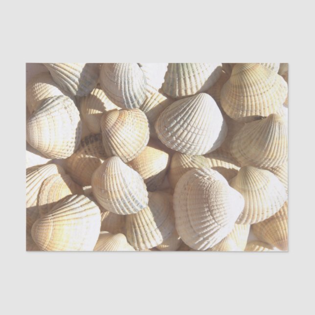 Sunny Seashells Collection, Summer Beach, Tissue Paper (Front)