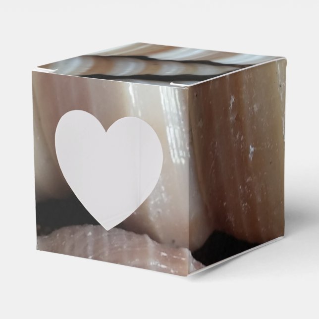 Sunny Seashells Favour Box, Summer Beach Wedding Box (Front Side)